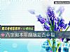 《八字測本年<i>婚姻</i>是否幸福》测试