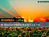 《測試你對<i>愛情</i>的投資是盈余還是虧損》测试