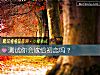 《測試你會嫁給<i>初戀</i>嗎？》测试