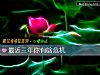 《最近三年你有啥危機》测试
