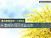 《怎樣的另一半<i>適合</i>你》测试