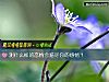 《測什麼樣的戀情會賠盡你的<i>感情</i>？》测试