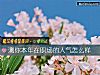 《測你本年在職場的人氣怎麼樣》测试