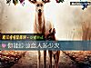 《你能原諒<i>戀人</i>多少次》测试