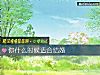 《你什麼時候適合<i>結婚</i>》测试