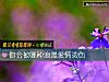 《你會被哪種浪漫<i>愛情</i>燙傷》测试