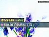 《你的<i>嫉妒</i>心超標了嗎？》测试