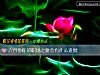《六月份你的職場之路會有什麼進展》测试