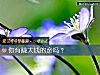 《你有賺大錢的命嗎？》测试