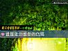 《誰最能治愈你的傷痛》测试