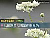 《從拍旅遊照測出你的<i>愛情</i>》测试