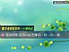 《測試<i>異地戀</i>的ta是否像你一樣一心一意》测试