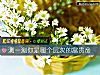 《測一測你是<i>哪個</i>層次的富貴命》测试