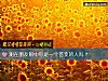 《測在朋友<i>眼中</i>你是一個善變的人嗎？》测试