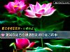 《測試你是否會遭遇<i>朋友</i>背後插刀的事》测试
