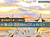 《測試你真的擁有<i>優質</i>友情嗎？》测试