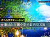 《測試你在<i>哪個</i>季節最容易發財》测试