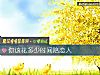 《你該花多少<i>時間</i>陪戀人》测试