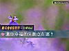 《測你<i>幸福</i>的失衡點在哪？》测试
