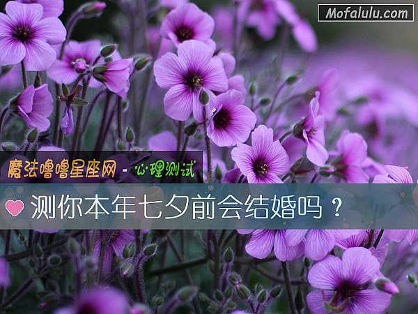 測你本年七夕前會結婚嗎？