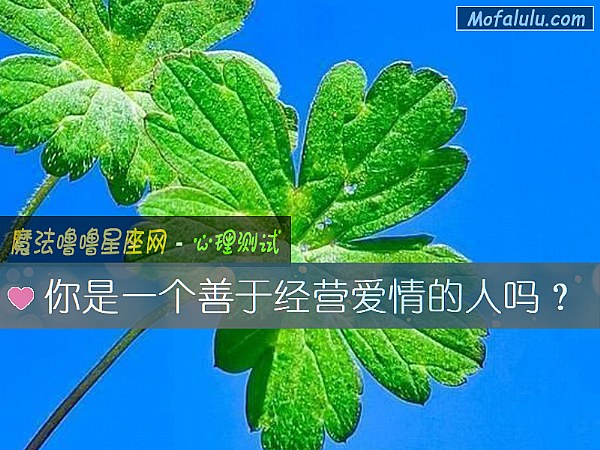 你是一個善于經營愛情的人嗎？