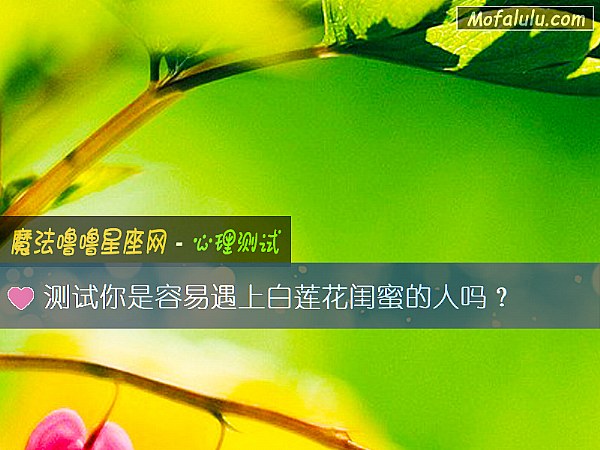 測試你是容易遇上白蓮花閨蜜的人嗎？