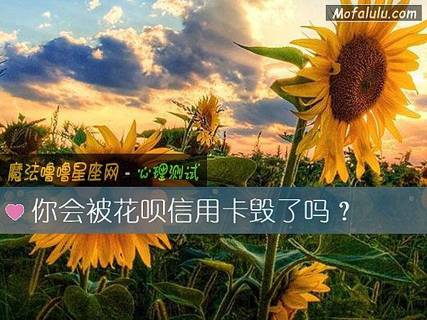 你會被花呗信用卡毀了嗎？