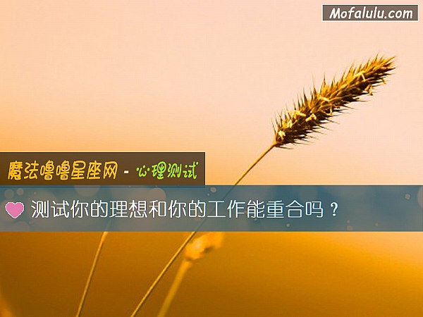 測試你的理想和你的工作能重合嗎？