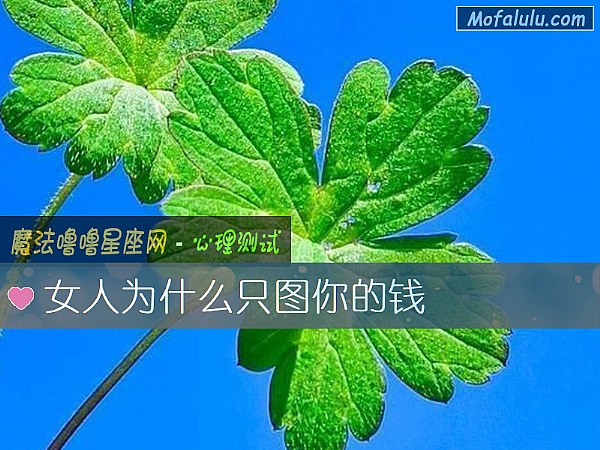 女人爲什麼只圖你的錢