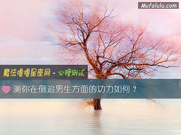 測你在倒追男生方面的功力如何？