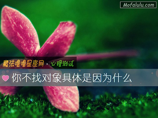 你不找對象具體是因爲什麼