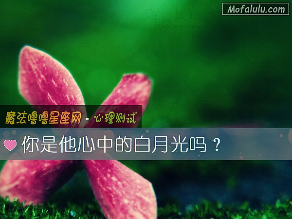 你是他心中的白月光嗎？