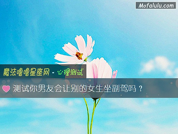 測試你男友會讓別的女生坐副駕嗎？