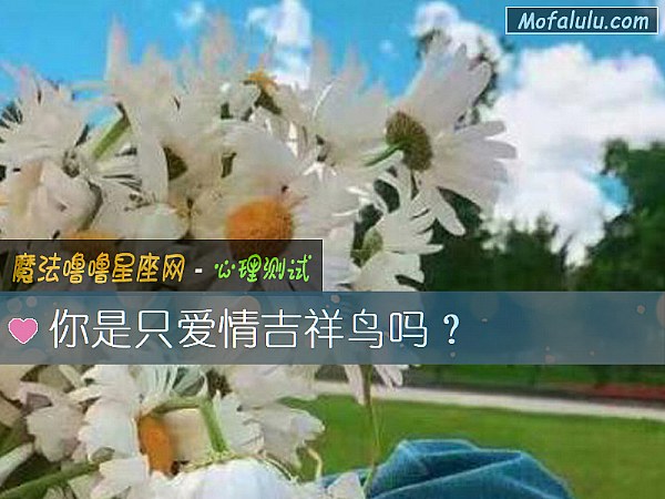 你是只愛情吉祥鳥嗎？